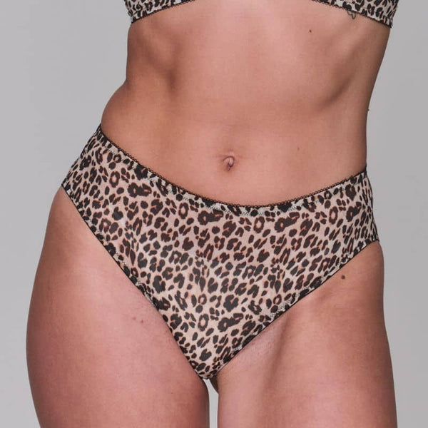 Gusset Innovation