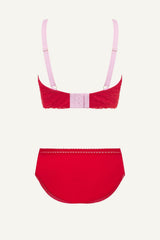 A ghost image of the back of a fuller cup red and pink lingerie set 