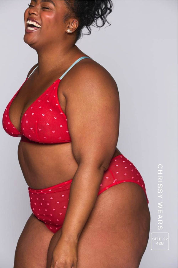 Red Embroidered Heart Bralette And High Waisted Brief Set