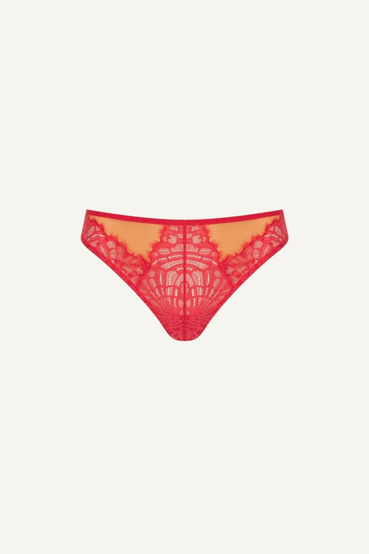 Multi-Layer Mesh Bra - Orange Duo - 36 / FF-G - Lemonade Dolls
