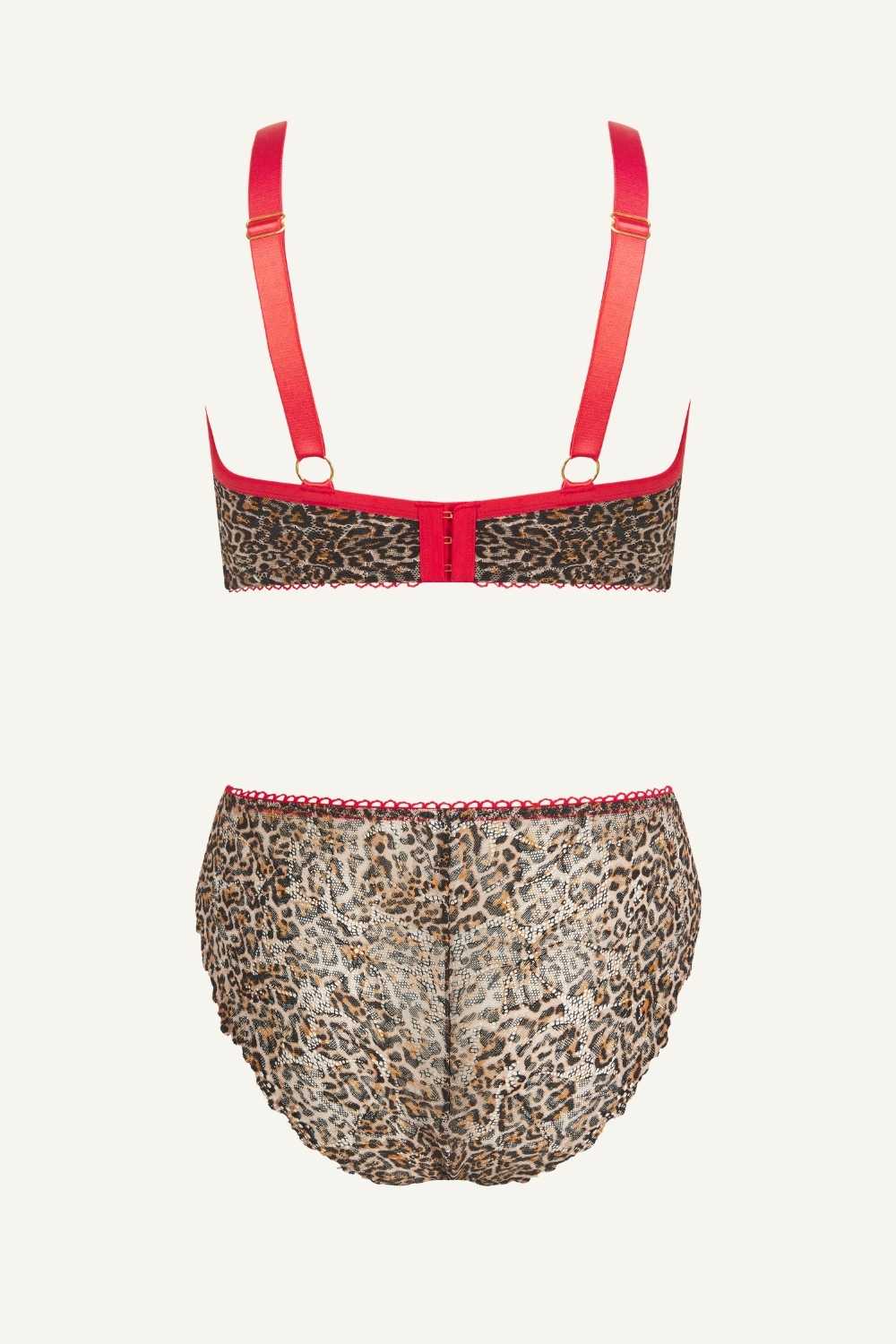 A ghost image of the back of a leopard print mesh lingerie set including a fuller cup bralette and a brief 