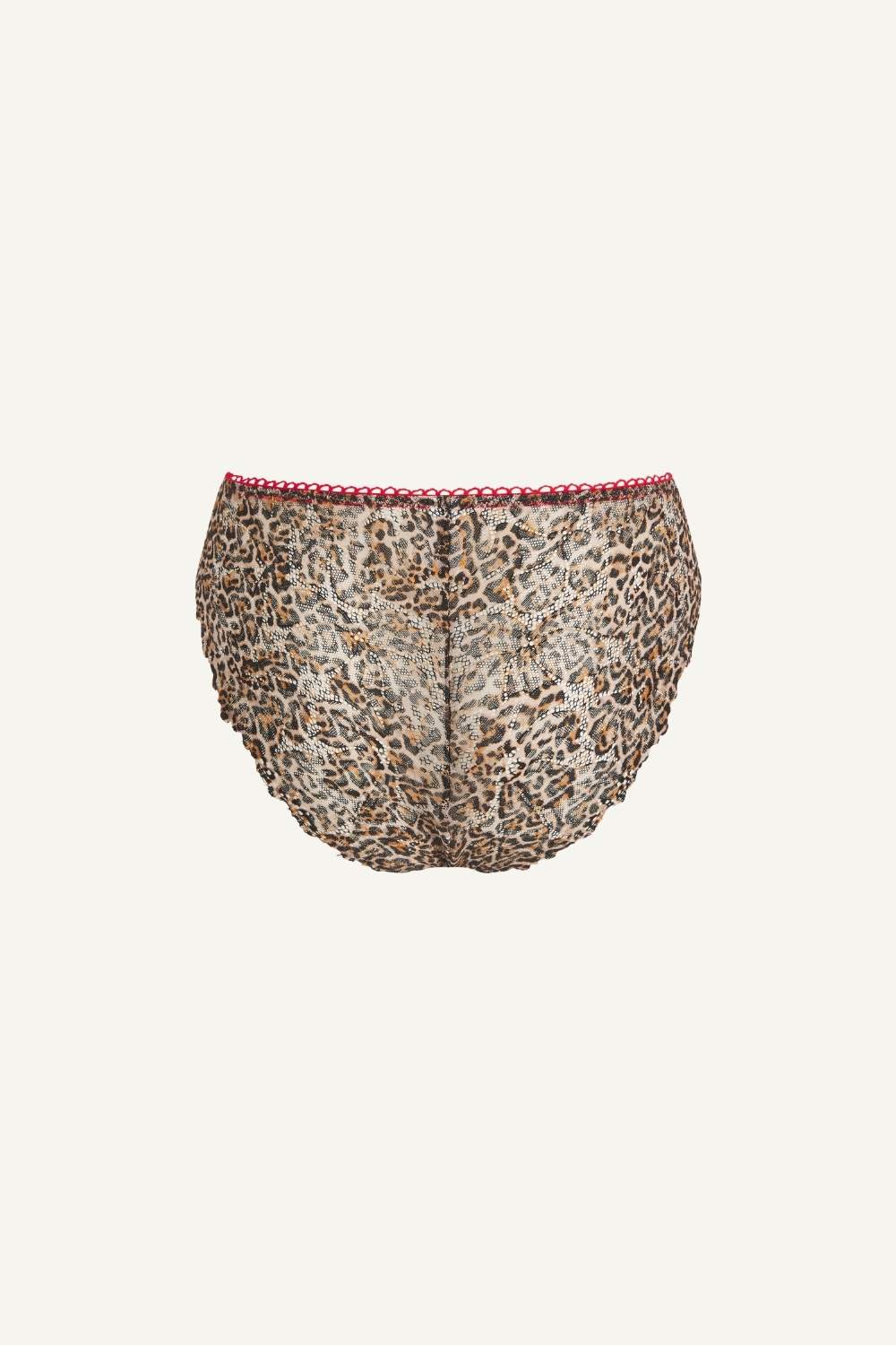 A ghost image of the back of a leopard print lace v brazilian 