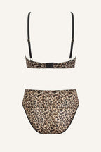 Leopard Print Mesh Bralette And High Waist Brief Set