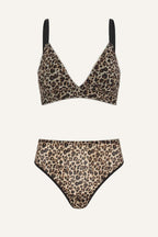 Leopard Print Mesh Bralette And High Waist Brief Set