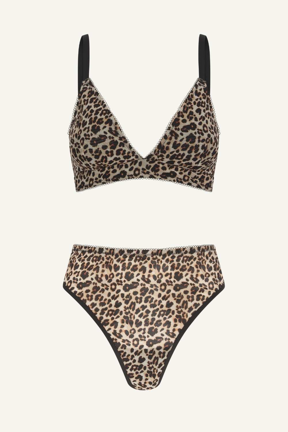 Leopard Print Mesh Bralette And Thong Set