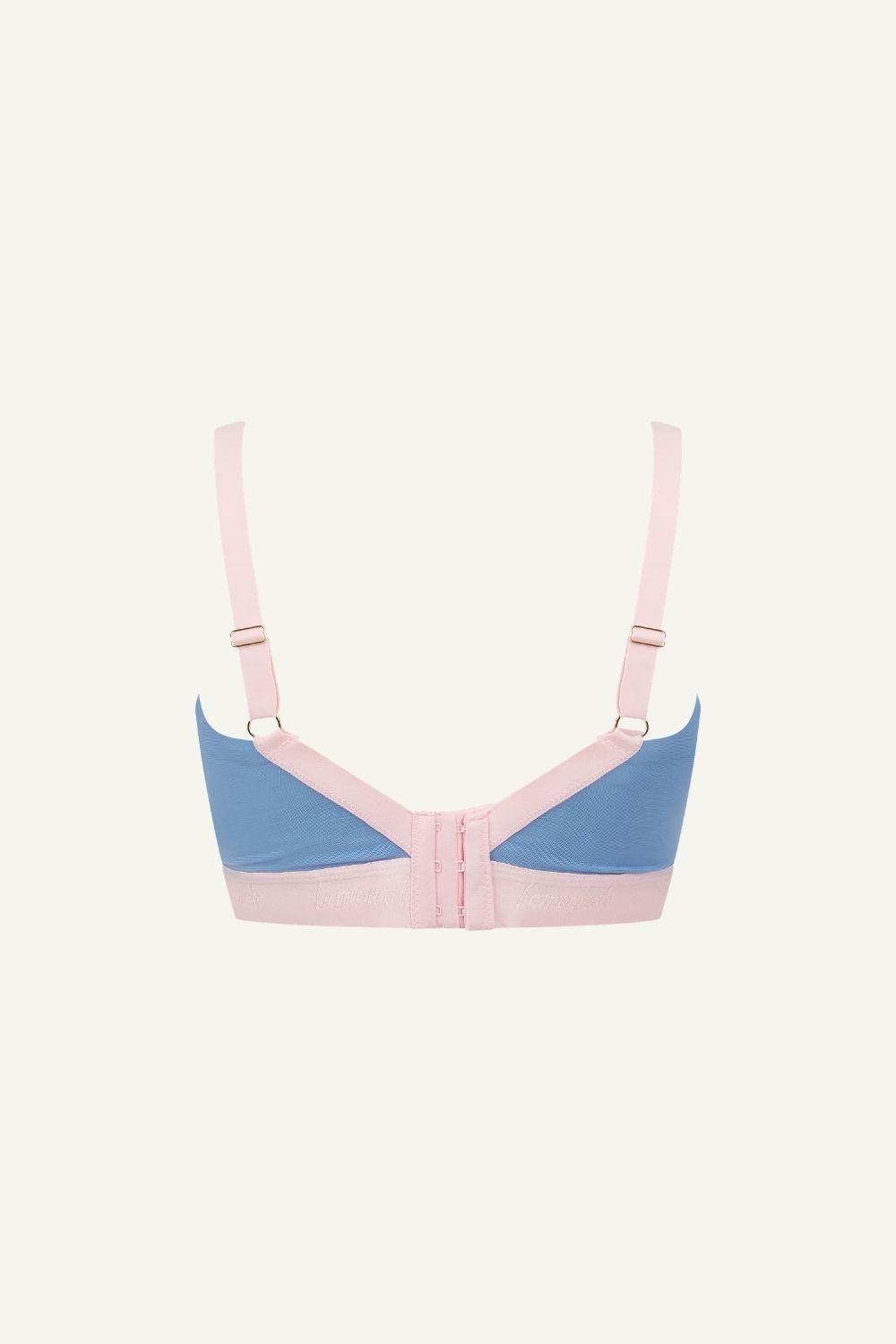 A ghost image of a pink and blue high support lace bra called The One 